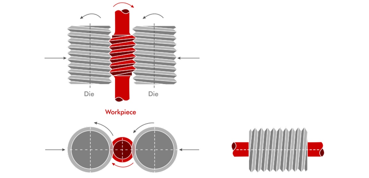 Infeed Rolling with Circular dies