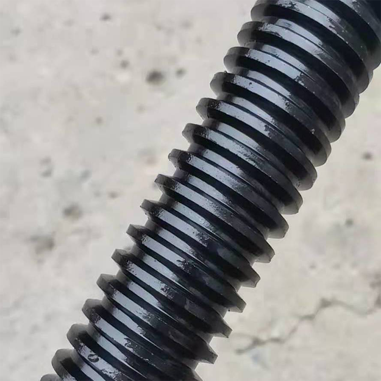 Praga Thread Rolling Machine-Thick-lead-screw