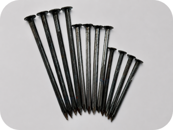 Wire Nails coil nails-1